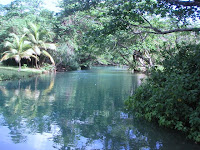 Frenchmans Cove, Jamaica