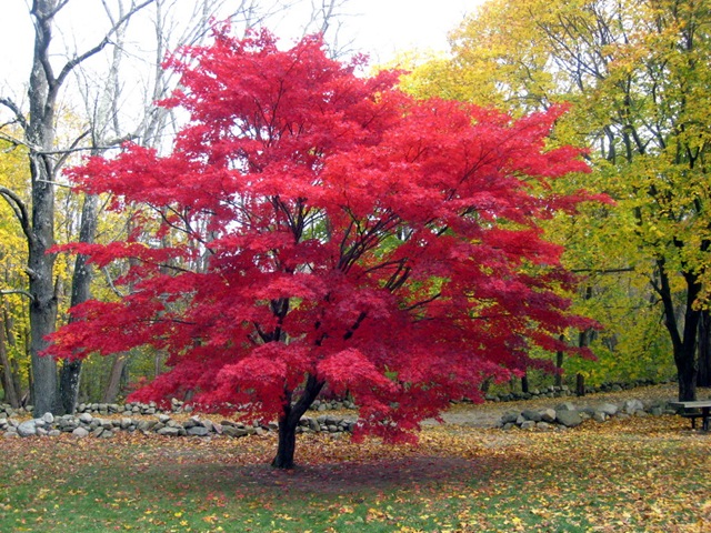 [sIMG_84014.jpg]