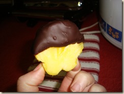 Blog Nov 4-6, 2009 093