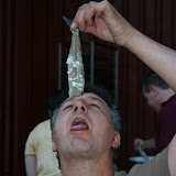 Haringhappen 2006