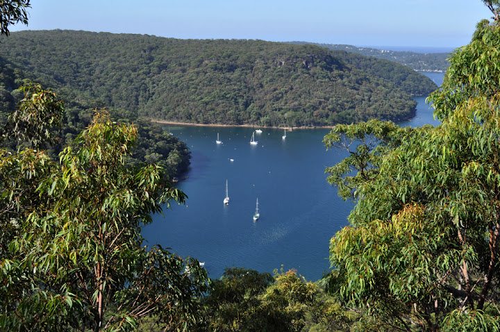 A view of Morning Bay from a lookout point in Ku-ring-gai National Park. Photo by Bobbi Lee Hitchon