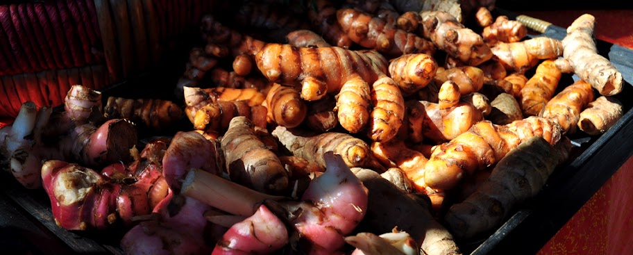 7/11/2010-Receive a lesson in herbs and spices, such as the tumeric and galangal featured, and see them in their raw form at Kate Michell and Peter McNeills Julatten Earth Food stall.