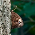 Unknown spotting