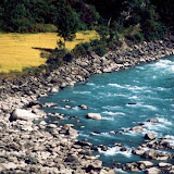 Dhading