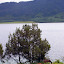 – horses grazing by Rara Lake – horses grazing by Rara Lake