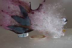 high_speed_photography_14