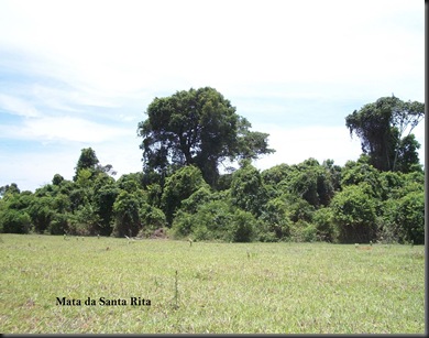 Mata da Santa Rita 2 leg cópia Mata da Santa Rita 2 leg cópia