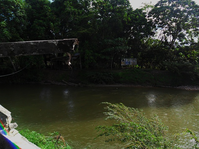 [Collasped Park Bridge[4].jpg]