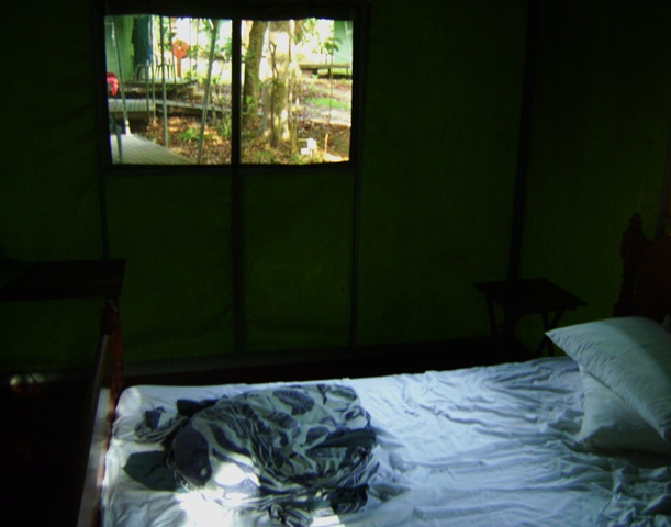 [Safari Bedroom[3].jpg]