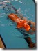 IMG_0351 IMG_0351