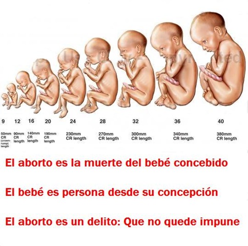 [Abortar a un bebe[7].jpg]