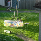 DSCF0048.JPG