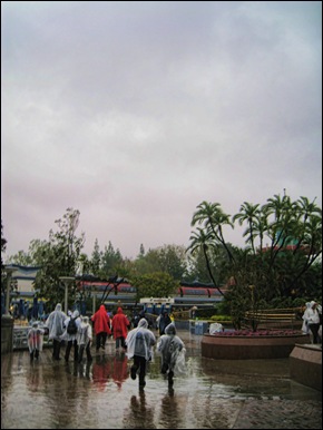 IMG_0153 copy