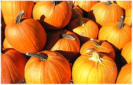 pumpkins pumpkins
