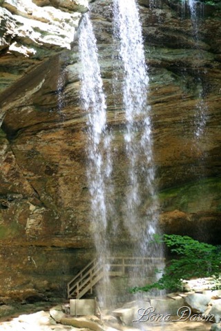 [AC_Falls5_Sp2010_SM7.jpg]