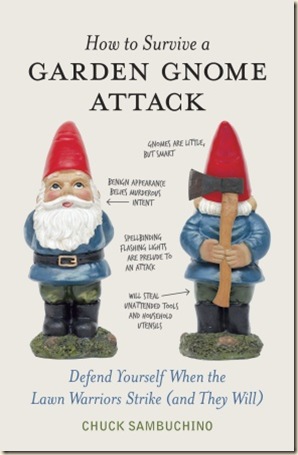 Gnome Attack