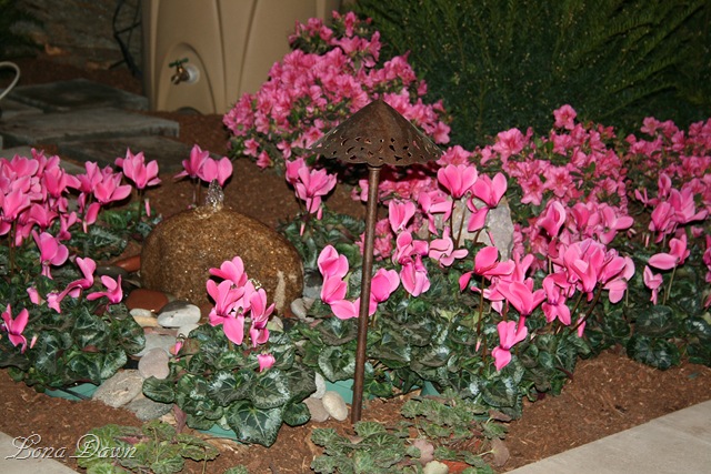 [HGS_Cyclamen_Bed[13].jpg]