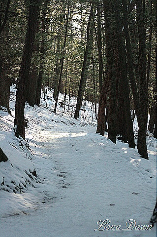 [OMC_UTrail_Dec[8].jpg]