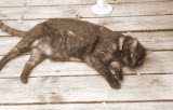 takin it easy.