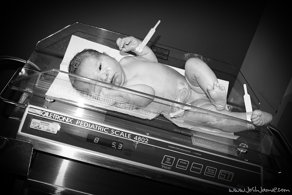 [IMG_3134b[2].jpg]