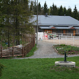 Talli & hevoset