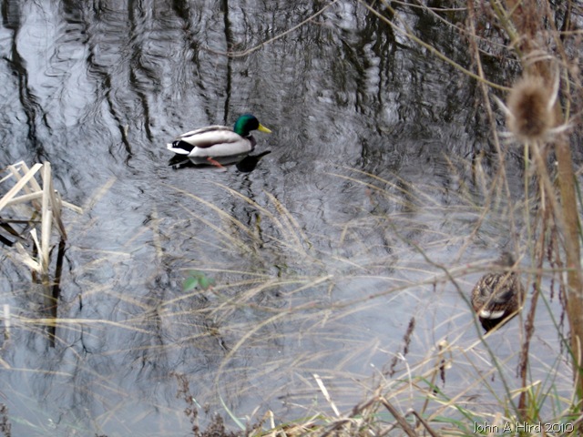 [2010-02-07 002[5].jpg]