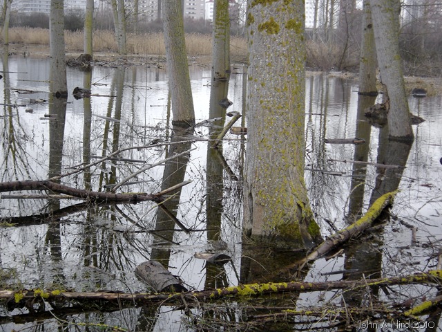 [2010-02-07 016[5].jpg]