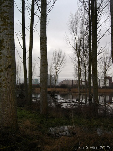 [2010-02-07 018[5].jpg]