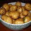 DSCN0494.jpg DSCN0494.jpg