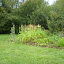 DSCN0497.jpg DSCN0497.jpg