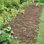 DSCN0501.jpg DSCN0501.jpg