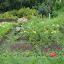 DSCN0508.jpg DSCN0508.jpg