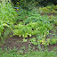 DSCN0510.jpg DSCN0510.jpg