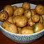DSCN0494 (Small).jpg DSCN0494 (Small).jpg