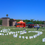 CIMG3110.JPG