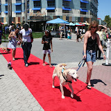 IMG_9000.jpg