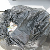 IMG_2868.JPG