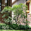 Lilac Bush