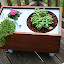 FearlessCrafts's Deck Herb garden