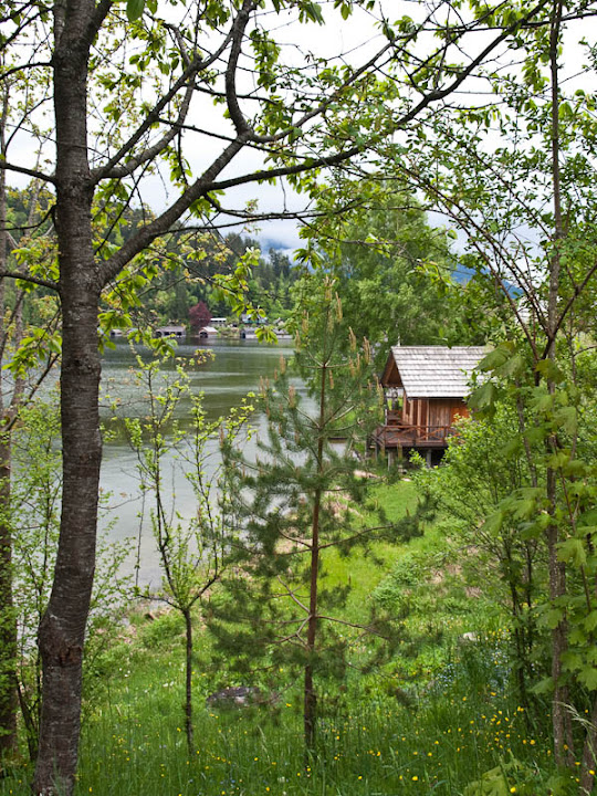 P5146555.jpg