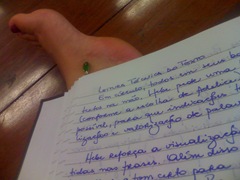 jeremias 26