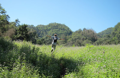 Danny in the field of mint