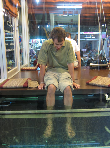 Fish Spa