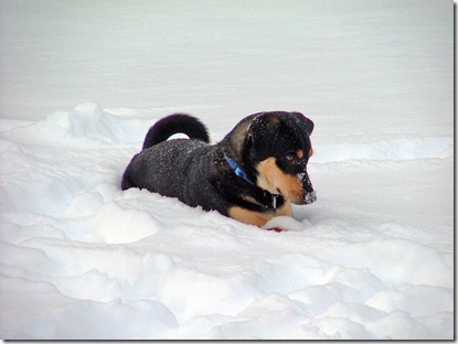 toby snow 4 toby snow 4