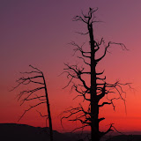 Yosemite 2009