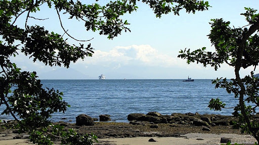 Brownie Bay, Newcastle Island