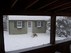 First snow.jpg
