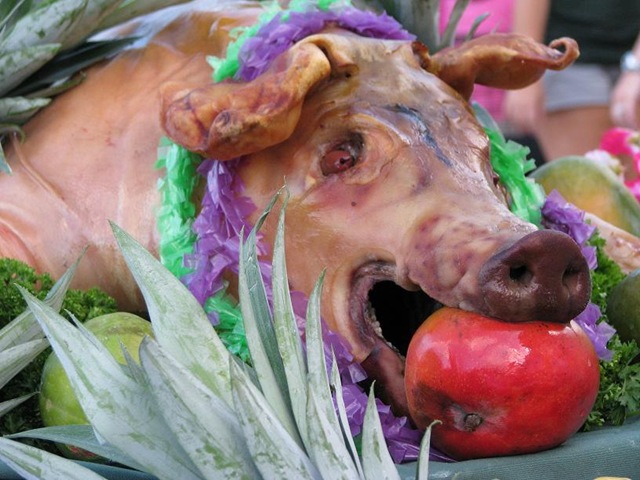 [pig a[3].jpg]