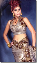 hot and sexy indain sari 11