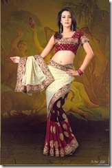 hot and sexy indain sari 1